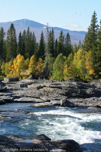 2008 09 12-039.jpg 2008 09 12-039.jpg