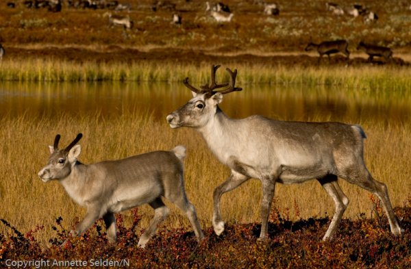 2008 09 12-155.jpg 2008 09 12-155.jpg