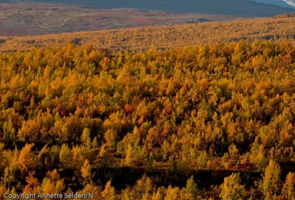 2008 09 12-236.jpg 2008 09 12-236.jpg