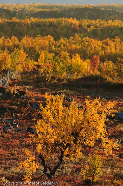 2008 09 12-256.jpg 2008 09 12-256.jpg