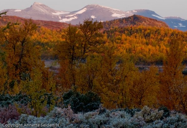 2008 09 13-012.jpg 2008 09 13-012.jpg