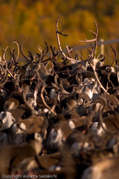 2008 09 13-140.jpg 2008 09 13-140.jpg