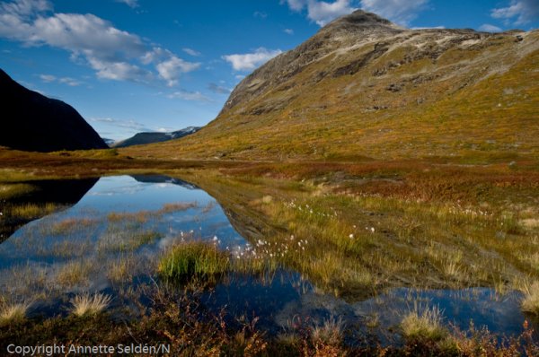 20090919.185.jpg 20090919.185.jpg