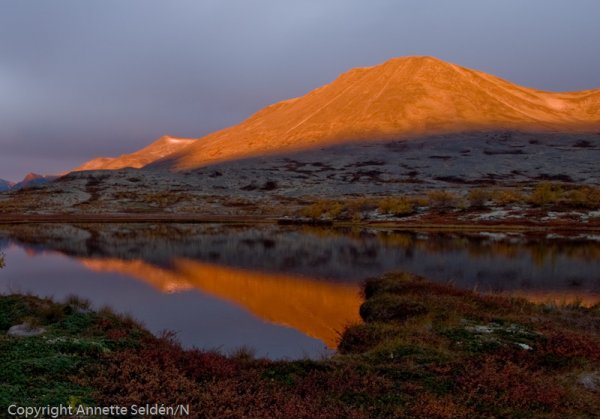 20090921.355.jpg 20090921.355.jpg