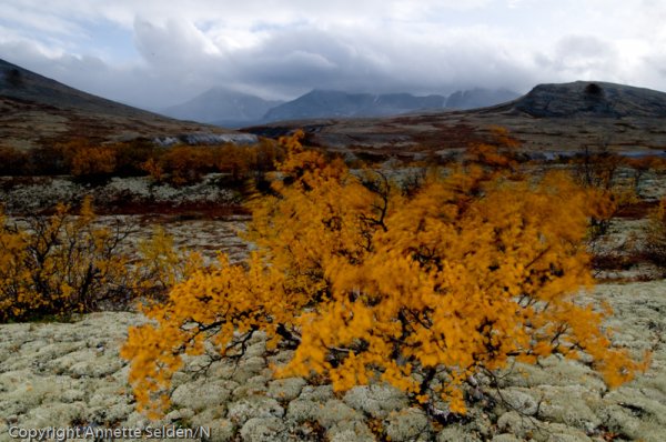 20090921.563.jpg 20090921.563.jpg