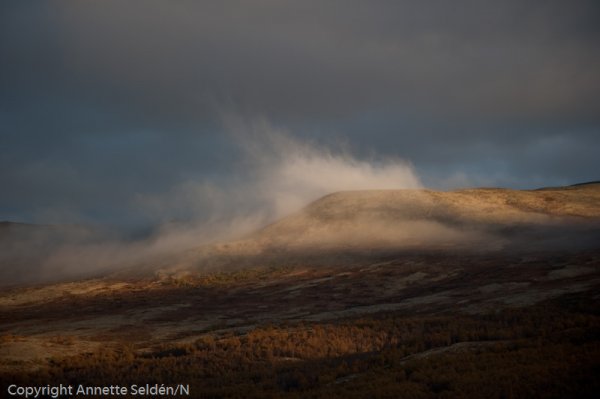 20100916.406.jpg 20100916.406.jpg