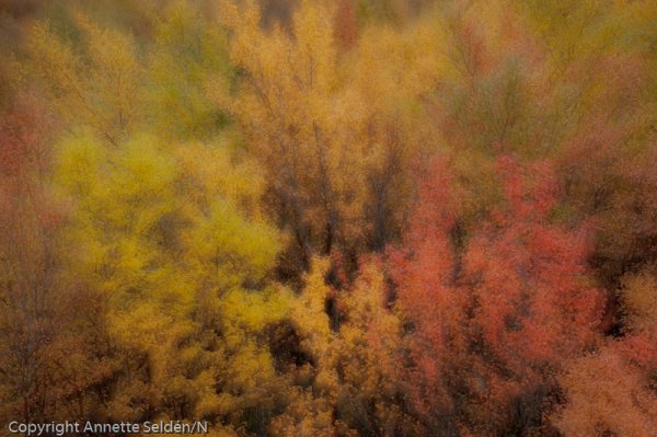 20100918.442.jpg 20100918.442.jpg