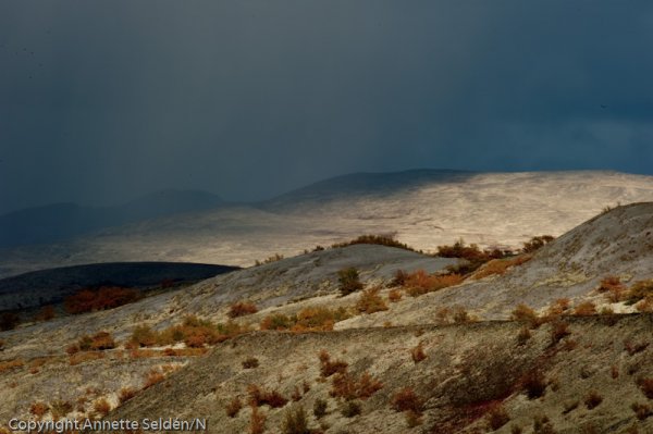 20100919.748.jpg 20100919.748.jpg