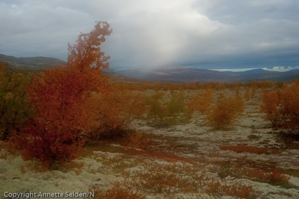 20100920.938.jpg 20100920.938.jpg