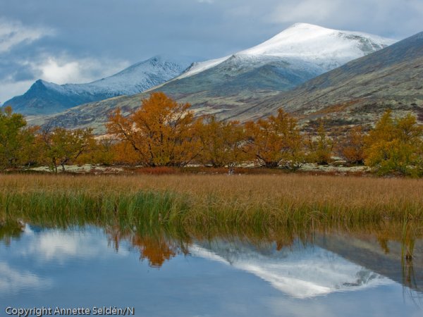 20100920.988-Edit.jpg 20100920.988-Edit.jpg