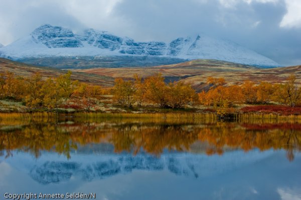 20100920.994.jpg 20100920.994.jpg