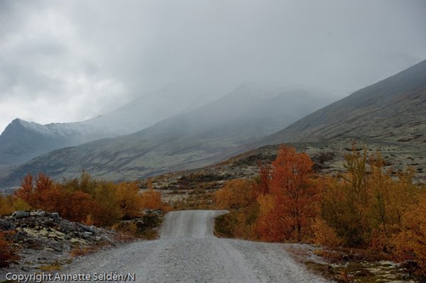 20100920.1042.jpg 20100920.1042.jpg