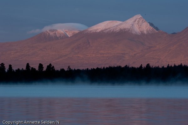 20100922.1095.jpg 20100922.1095.jpg