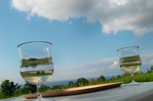 Juliresan 040 (800x533).jpg