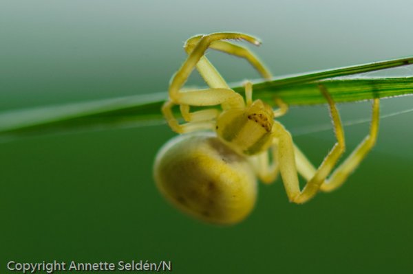 20110730.007.jpg 20110730.007.jpg