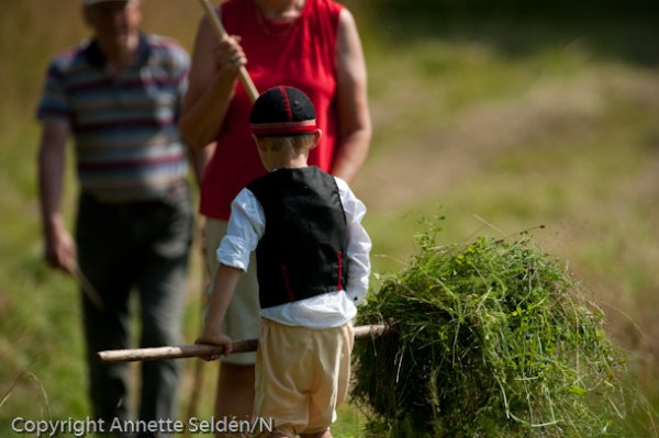 20110730.032-2.jpg 20110730.032-2.jpg