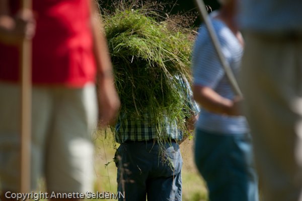 20110730.067-2.jpg 20110730.067-2.jpg