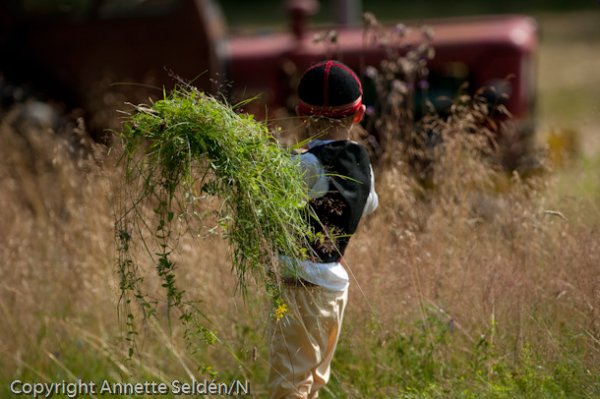 20110730.075-2.jpg 20110730.075-2.jpg