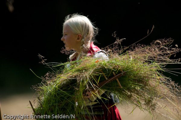 20110730.083-2.jpg 20110730.083-2.jpg