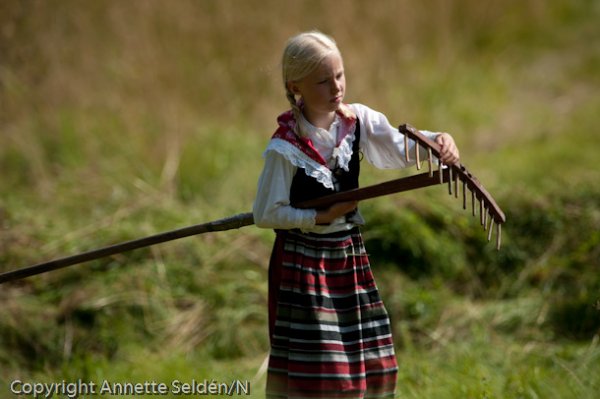 20110730.101-2.jpg 20110730.101-2.jpg