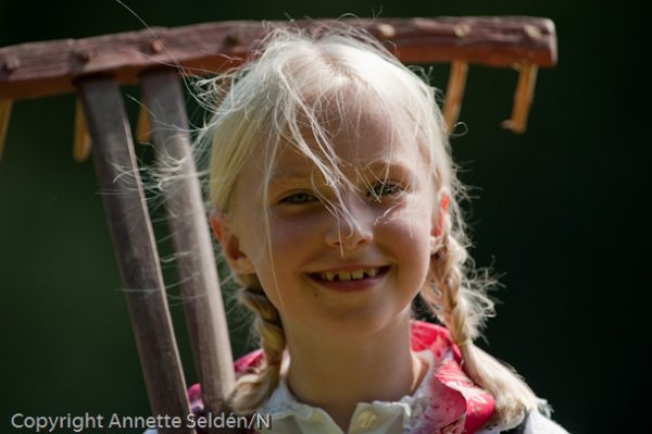 20110730.109-2.jpg 20110730.109-2.jpg