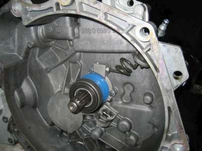 img_1156_159262581-400.jpg img_1156_159262581-400.jpg