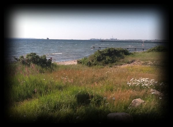 IMG_0036.jpg IMG_0036.jpg