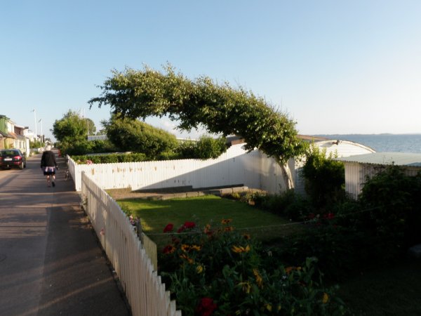 P7110186.JPG P7110186.JPG