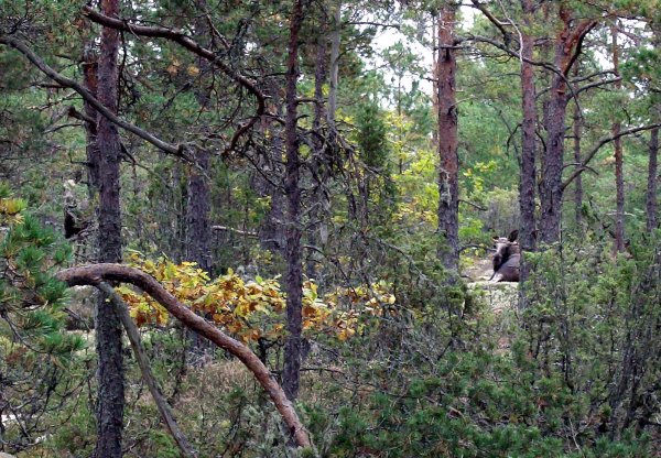 CIMG0008.JPG CIMG0008.JPG