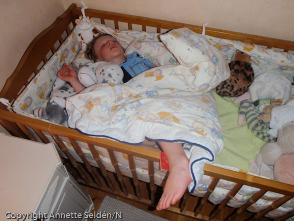 20100523.011.jpg 20100523.011.jpg