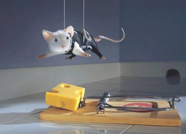 la-ratonera.jpg