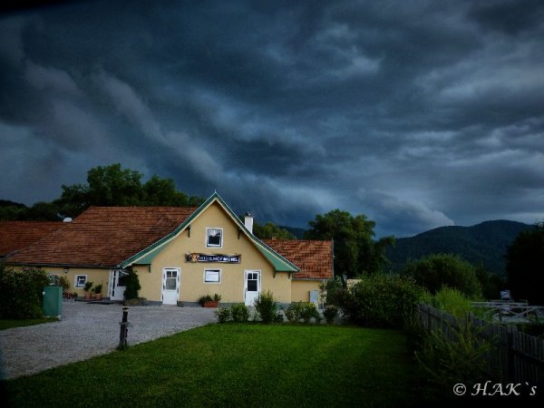 Ovaeder_2_11.jpg Ovaeder_2_11.jpg