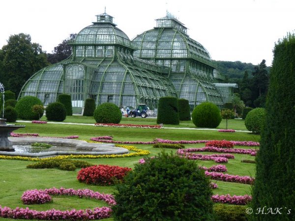 P1050541.JPG P1050541.JPG