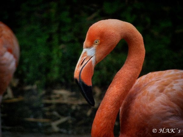 P1050551.jpg P1050551.jpg