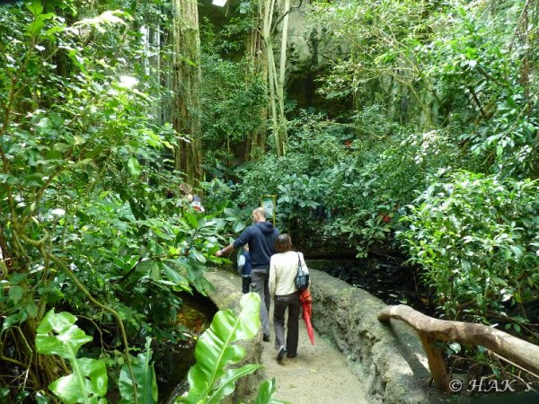 P1050572.JPG P1050572.JPG