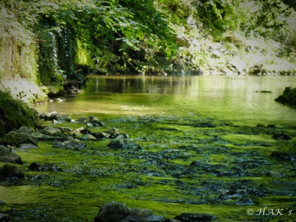 Baeck_3_11.jpg Baeck_3_11.jpg