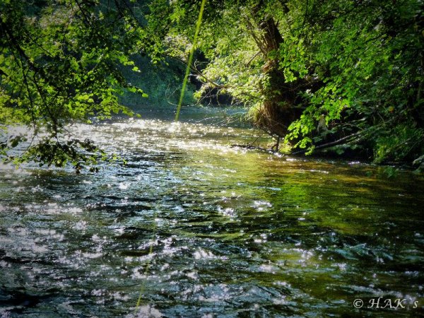 Beack_2_11.jpg Beack_2_11.jpg