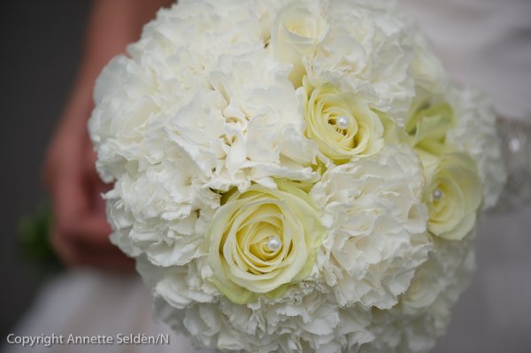 110903.183.jpg 110903.183.jpg