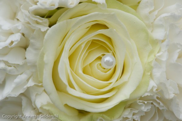 110903.189.jpg 110903.189.jpg