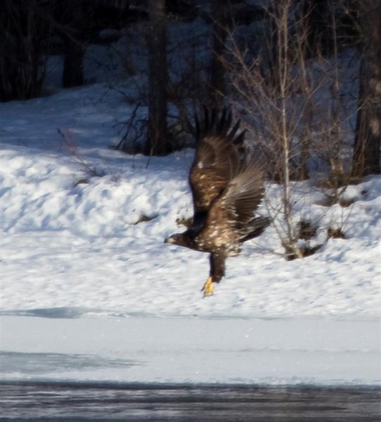 IMG_0790 (Large).jpg IMG_0790 (Large).jpg