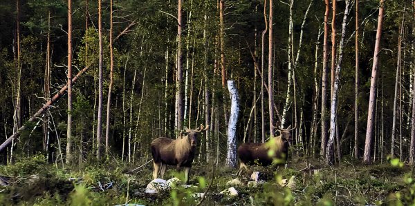 aDSC_0445.JPG aDSC_0445.JPG