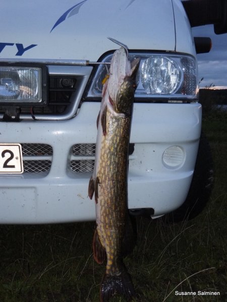 hhhhhhhhhhhhhhhhhhhhhhhhhhhhhhhhh 037.JPG