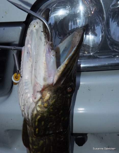 hhhhhhhhhhhhhhhhhhhhhhhhhhhhhhhhh 039.JPG