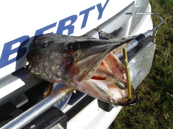 IMGP2205 [Skrivbordsupplösning].JPG