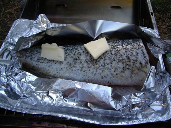 IMGP2212 [Skrivbordsupplösning].JPG