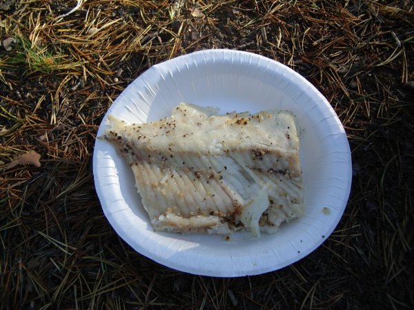 IMGP2211 [Skrivbordsupplösning].JPG