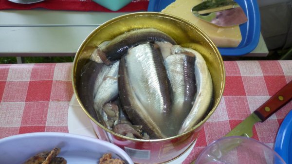 P1000366.jpg P1000366.jpg