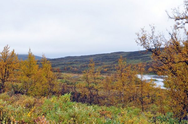 Stekenjokk_4.jpg Stekenjokk_4.jpg