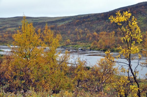 Stekenjokk_6.jpg Stekenjokk_6.jpg