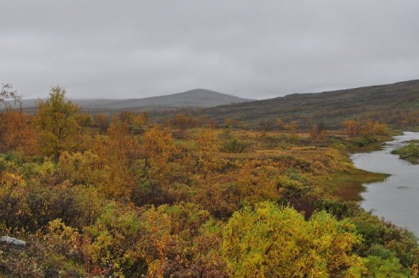 Stekenjokk_11.jpg Stekenjokk_11.jpg